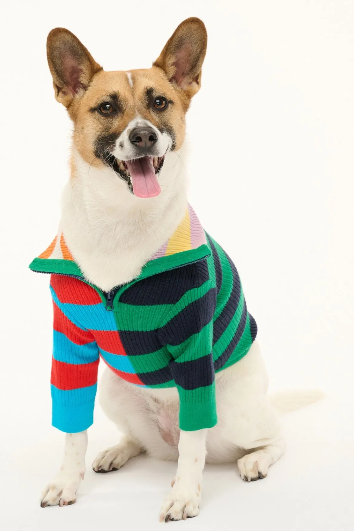 PET HAMPTON SWEATER | CABANA STRIPE MULTI