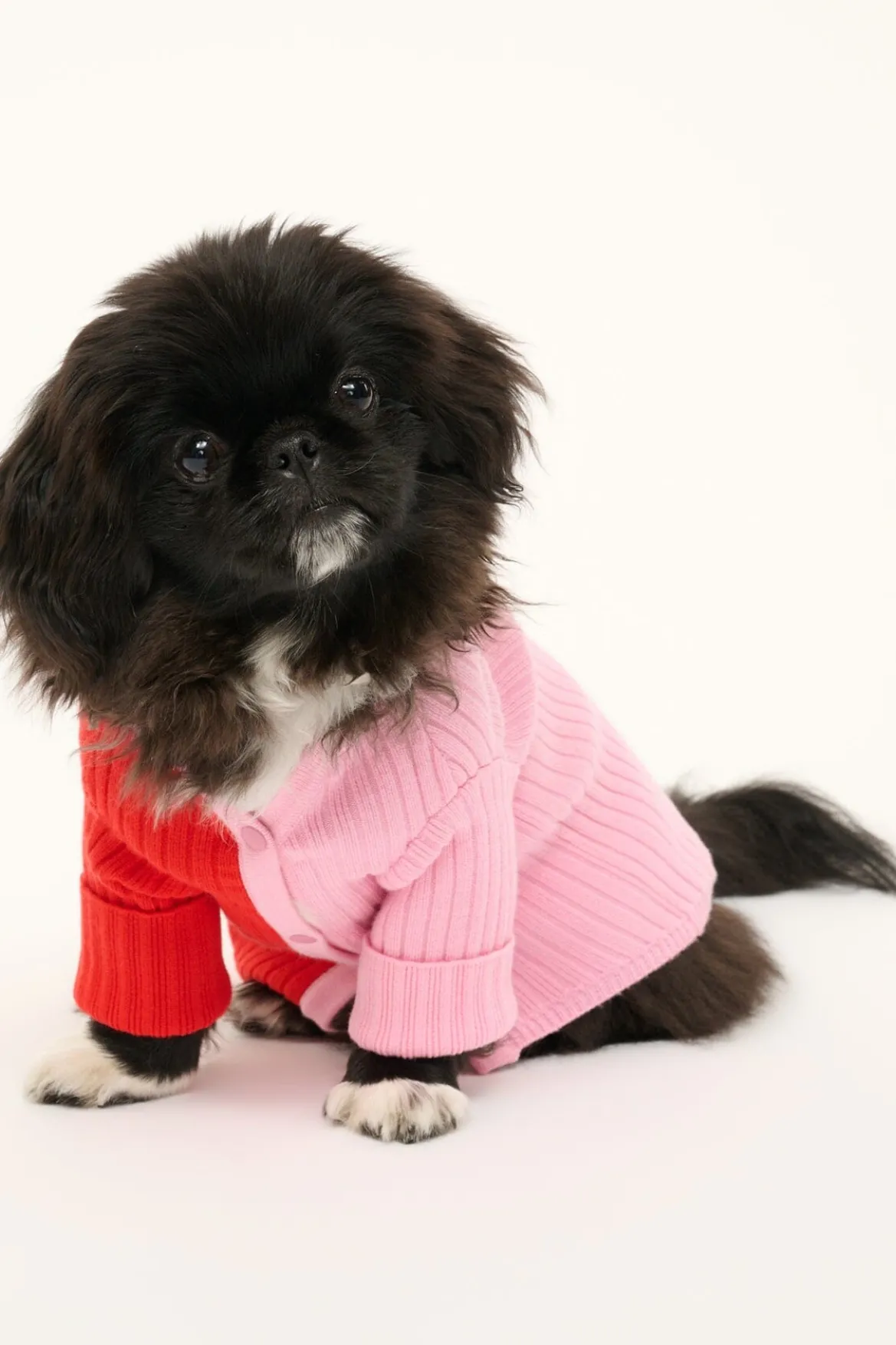 PET SHOKO SWEATER | POPPY ROSEBUD